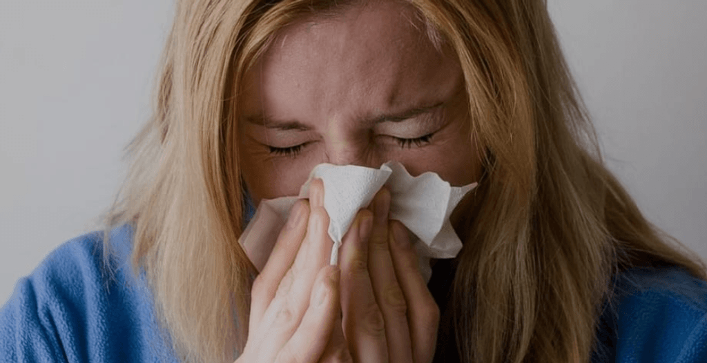 imagen_2024-11-15_105913859 imagen_2024-11-15_105913859