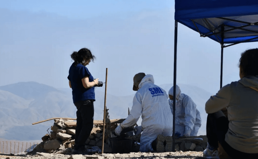 sacando restos sacando restos