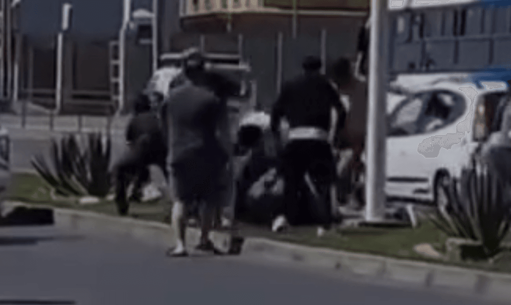 imagen_2024-10-24_104956863 imagen_2024-10-24_104956863