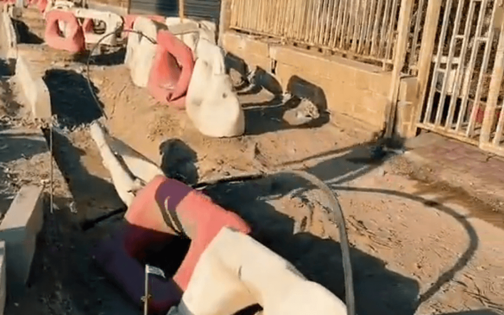 imagen_2024-11-11_111407372 imagen_2024-11-11_111407372