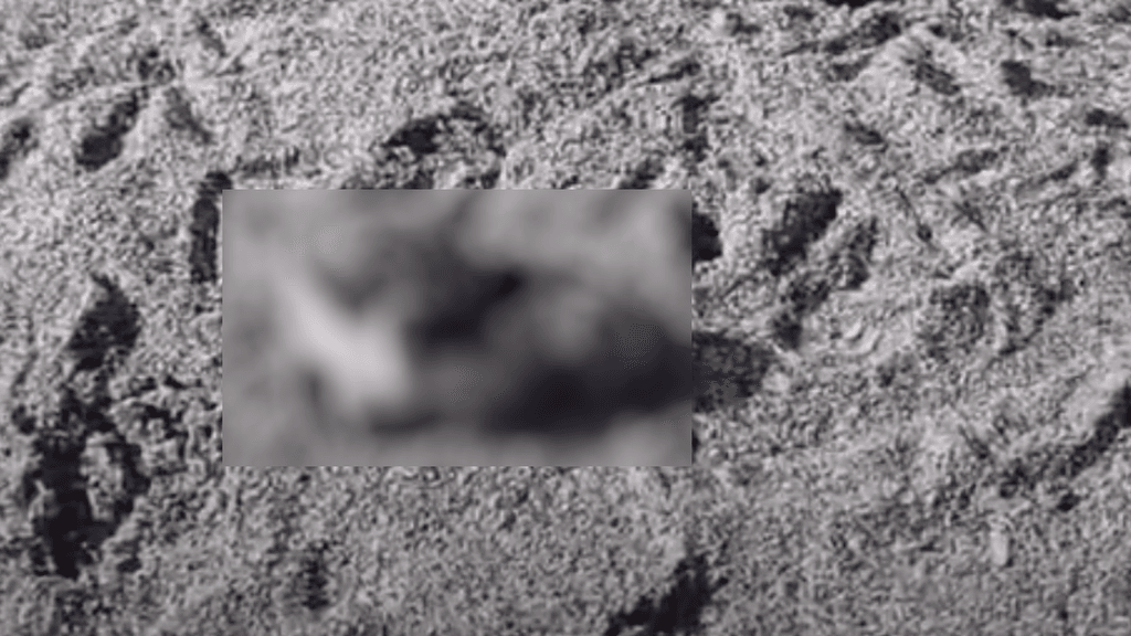 imagen_2024-10-07_102501751 imagen_2024-10-07_102501751