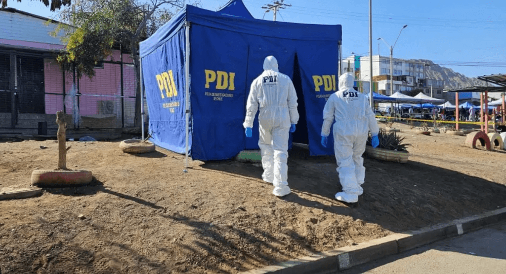 imagen_2024-09-09_084638590 imagen_2024-09-09_084638590