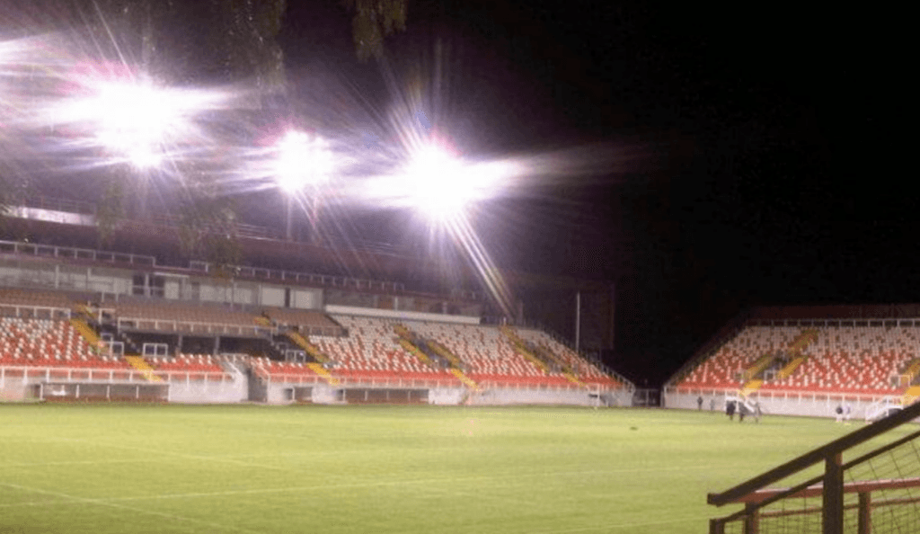 zorros del desierto zorros del desierto