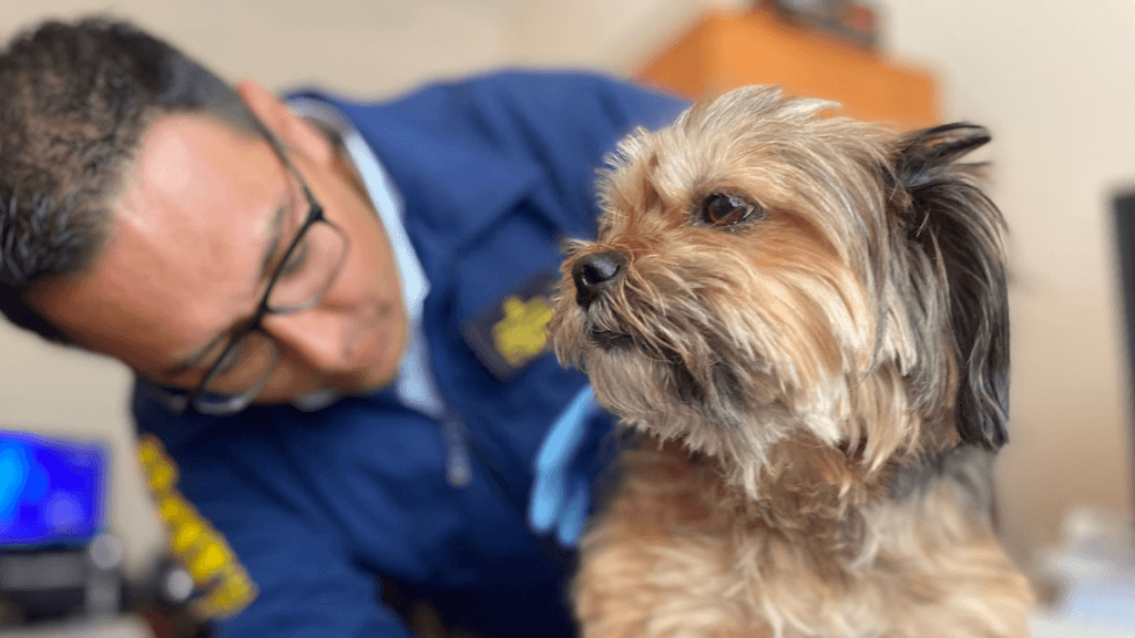 imagen_2024-12-10_111814822 imagen_2024-12-10_111814822