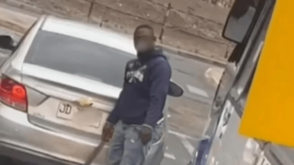 imagen_2024-11-14_101539216 imagen_2024-11-14_101539216