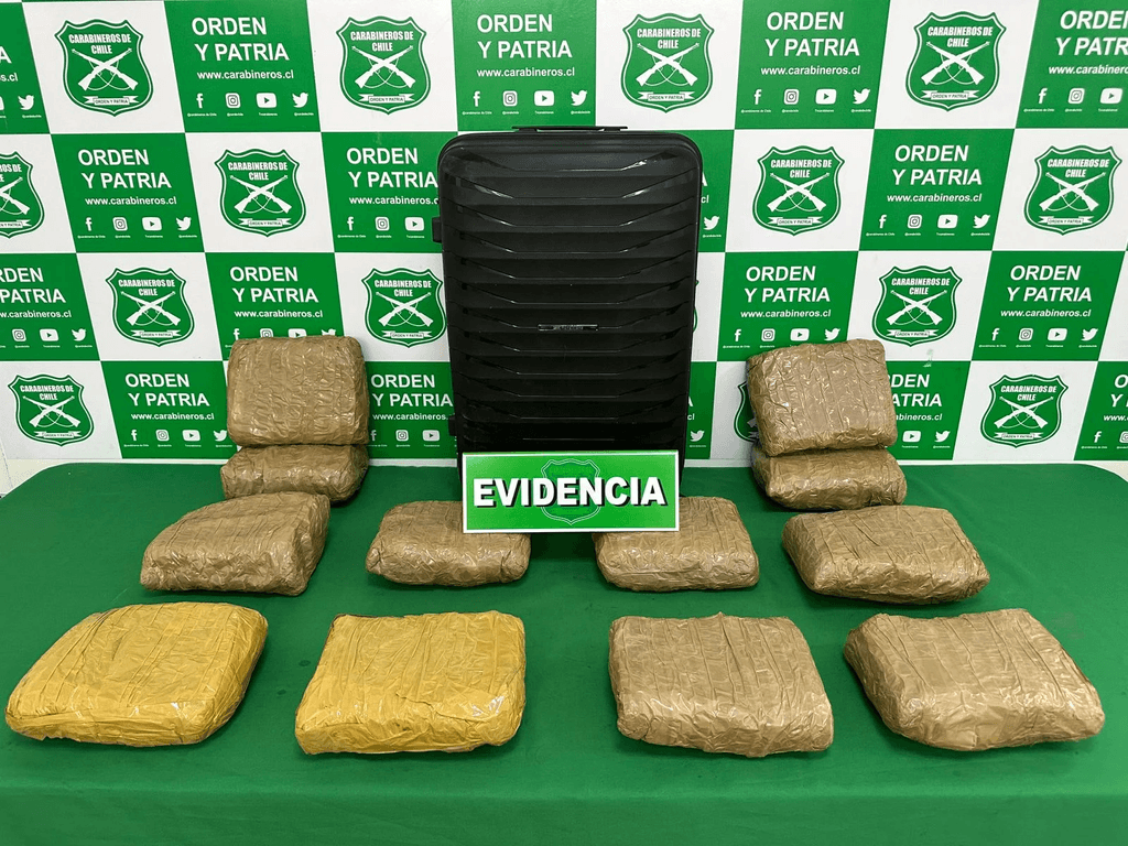 imagen_2024-02-02_095756416 imagen_2024-02-02_095756416