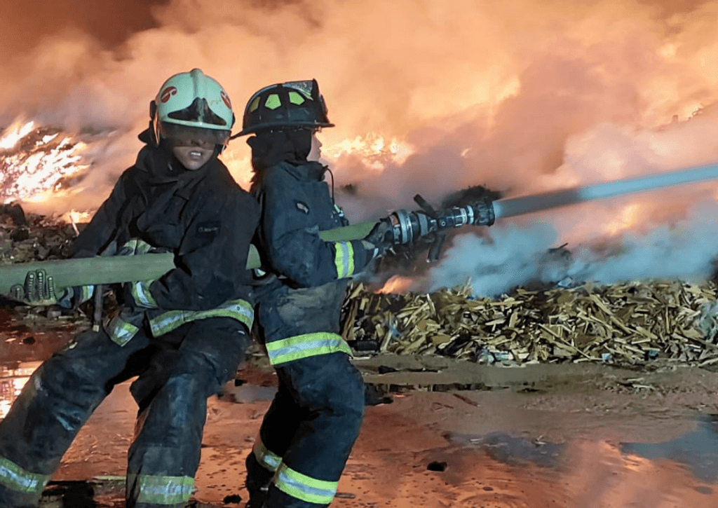 imagen_2024-09-11_095913524 imagen_2024-09-11_095913524