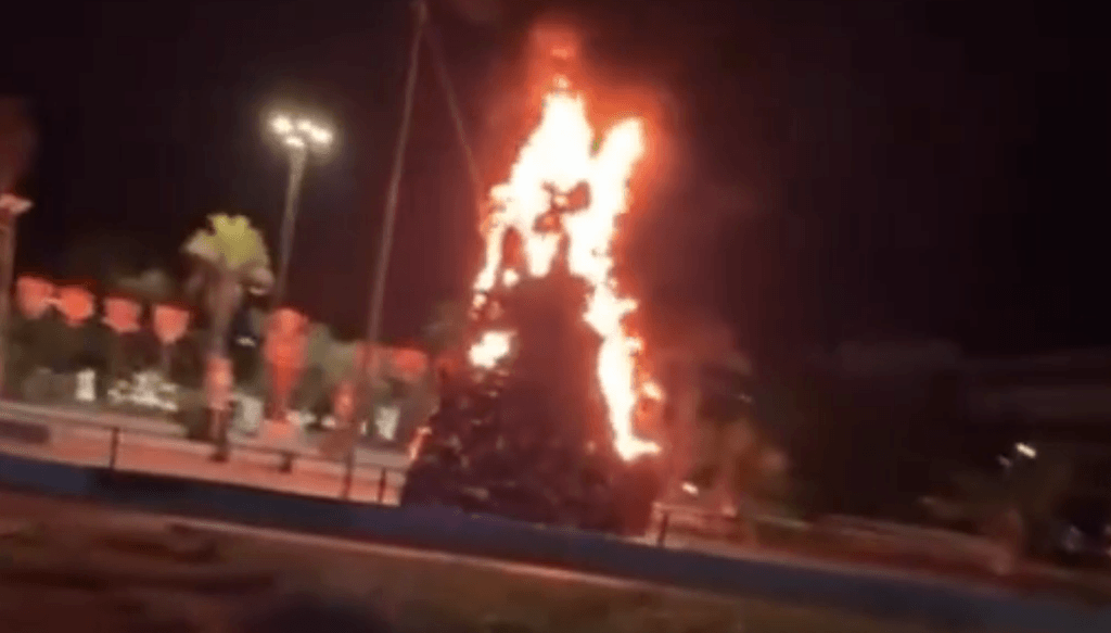 imagen_2024-12-18_104018178 imagen_2024-12-18_104018178