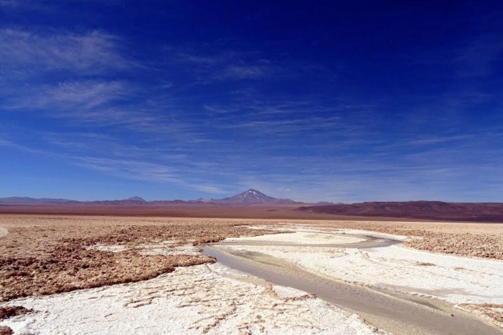 salar punta negra salar punta negra