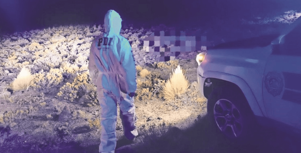 imagen_2024-11-04_091641936 imagen_2024-11-04_091641936