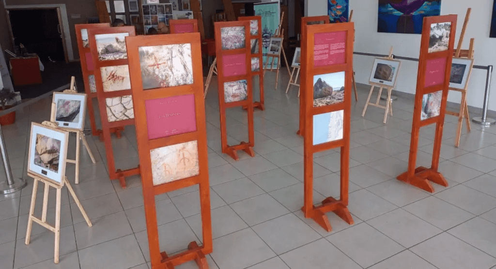 muestra peces las rocas muestra peces las rocas