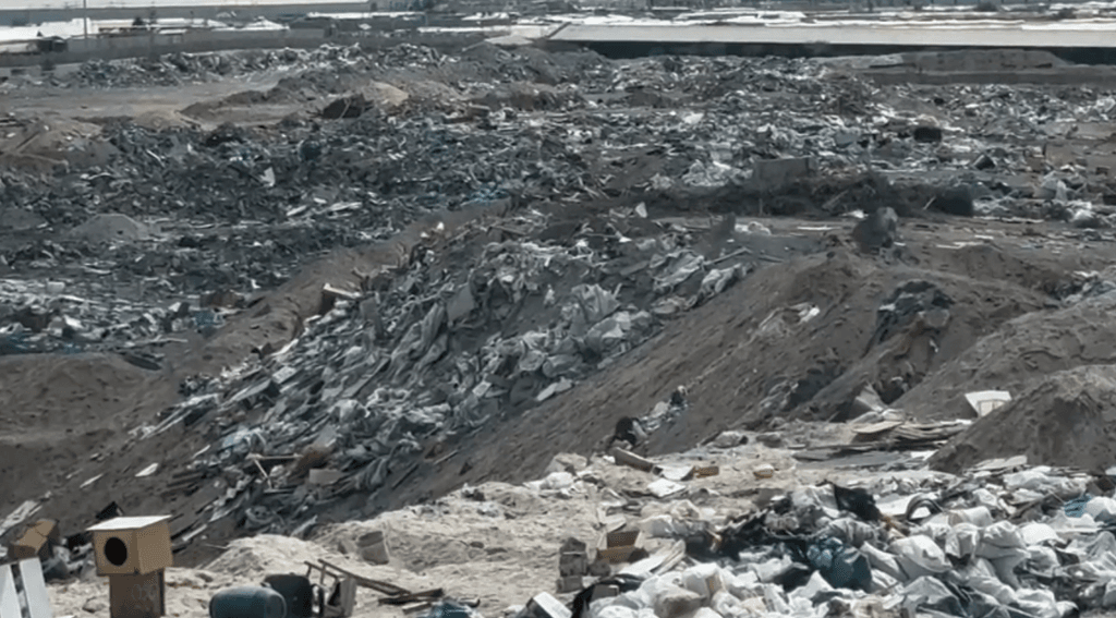 imagen_2024-11-26_120240144 imagen_2024-11-26_120240144