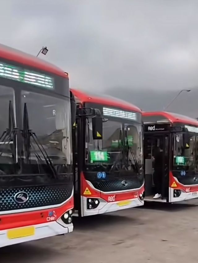 Nuevas 114 eléctricas micros