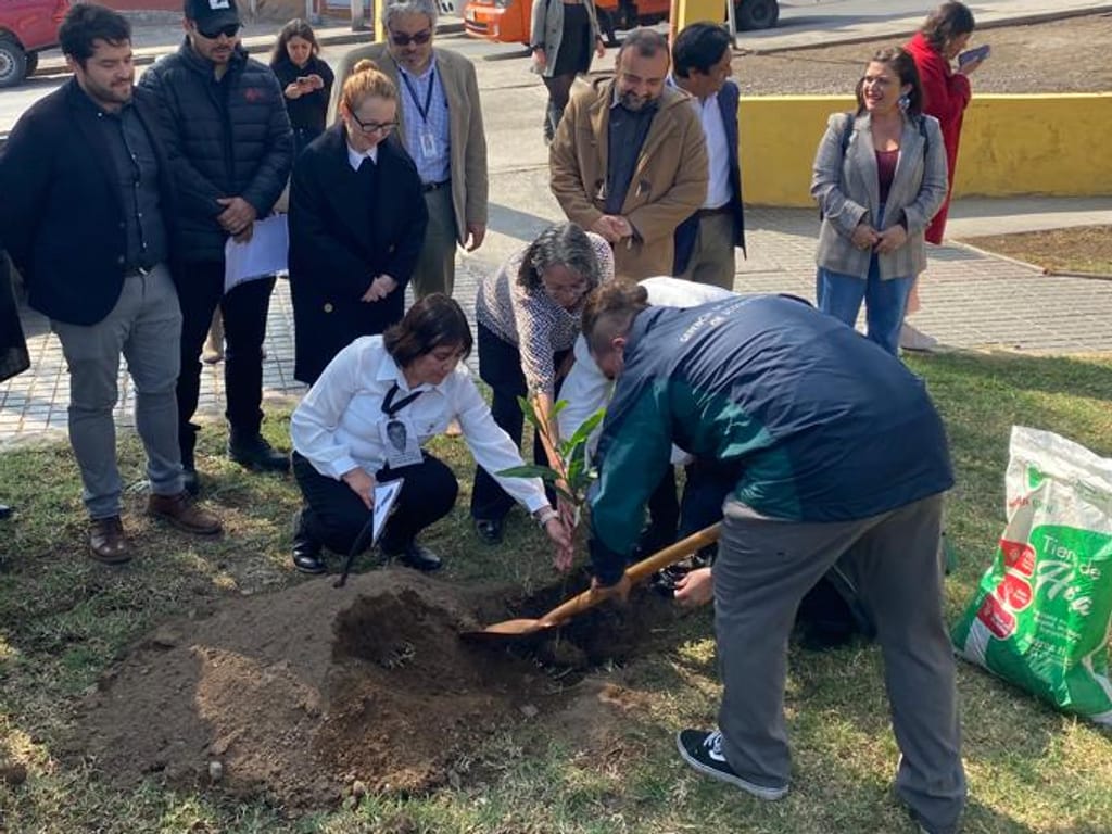 levantamiento regional plantas memoria dictadura levantamiento regional plantas memoria dictadura