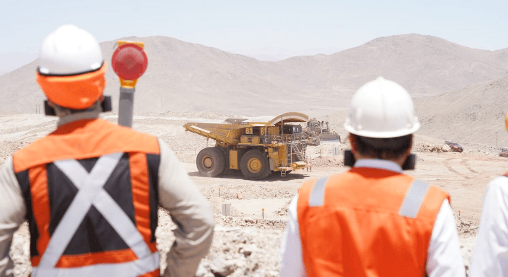 lomas bayas lomas bayas