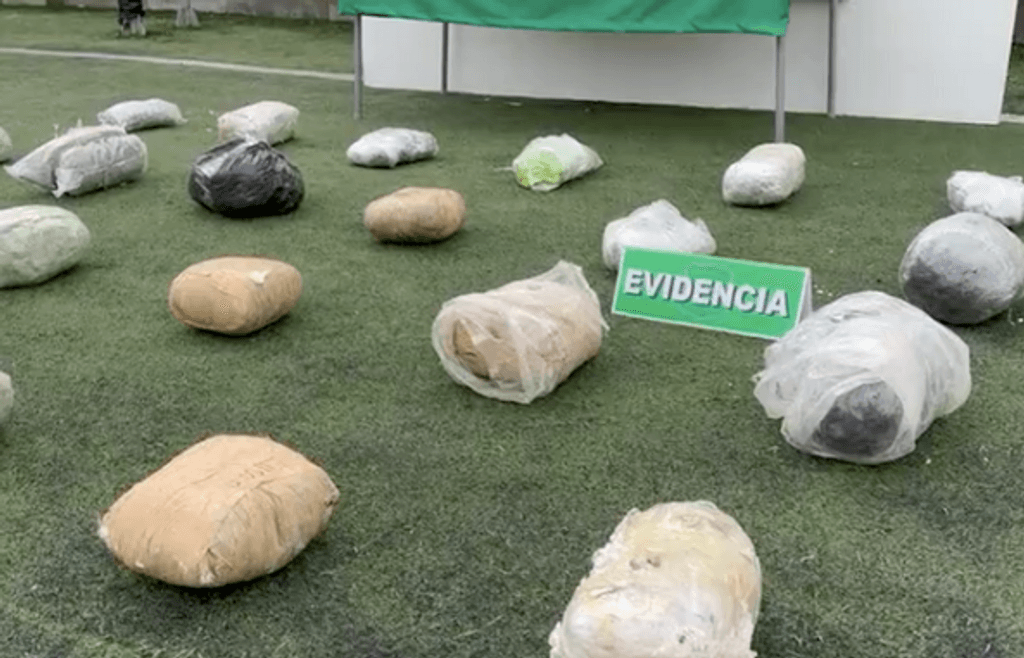 paquetes de drogas paquetes de drogas