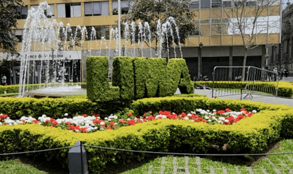 imagen_2024-11-20_172450764 imagen_2024-11-20_172450764