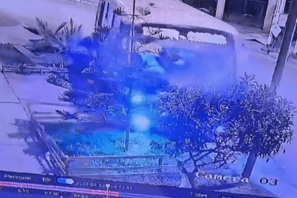 imagen_2024-09-12_094548440 imagen_2024-09-12_094548440