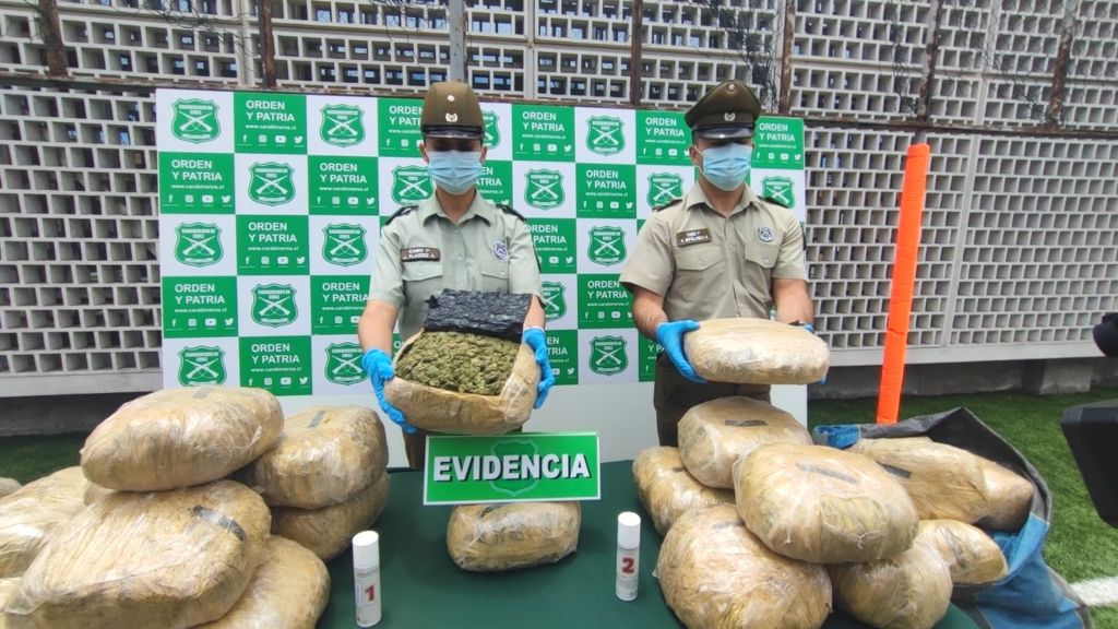 drogas drogas
