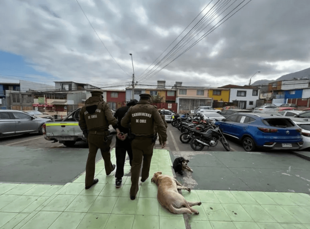 carabineros carabineros