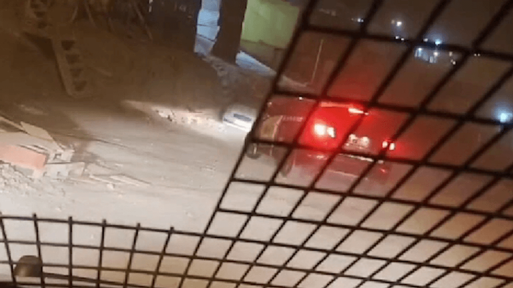 imagen_2025-05-06_094552822 imagen_2025-05-06_094552822