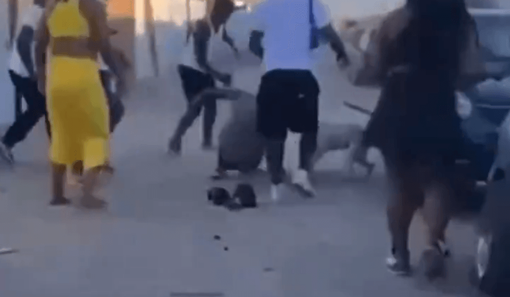 imagen_2024-01-03_172501033 imagen_2024-01-03_172501033