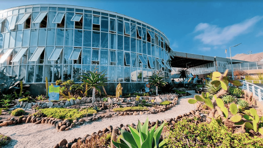 jardin botanico aguas antofagasta jardin botanico aguas antofagasta