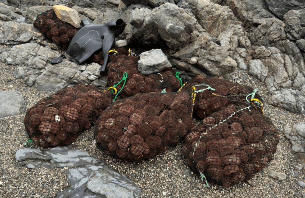 imagen_2023-07-21_115458220 imagen_2023-07-21_115458220