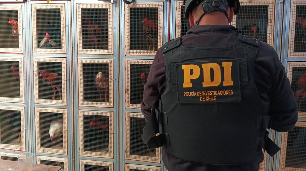 Imagen de WhatsApp 2024-09-10 a las 16 Imagen de WhatsApp 2024-09-10 a las 16