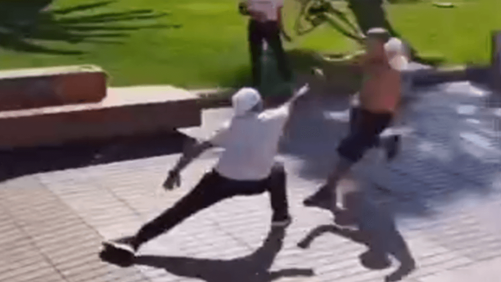 imagen_2025-07-28_102357252 imagen_2025-07-28_102357252