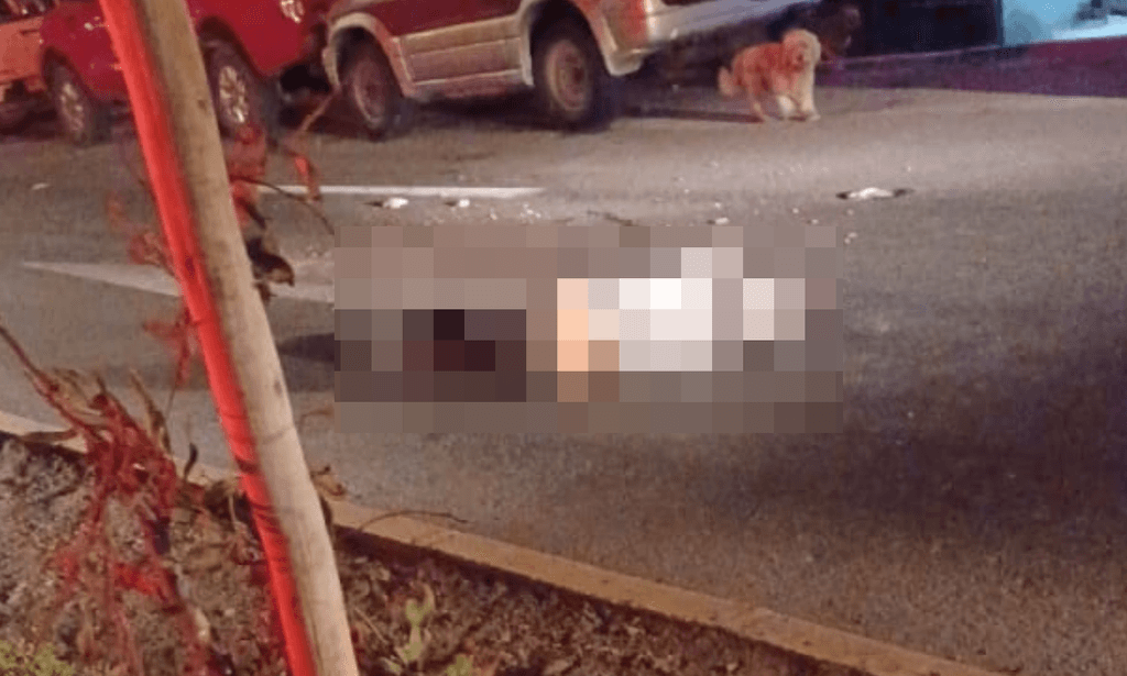 imagen_2024-02-06_094906853 imagen_2024-02-06_094906853