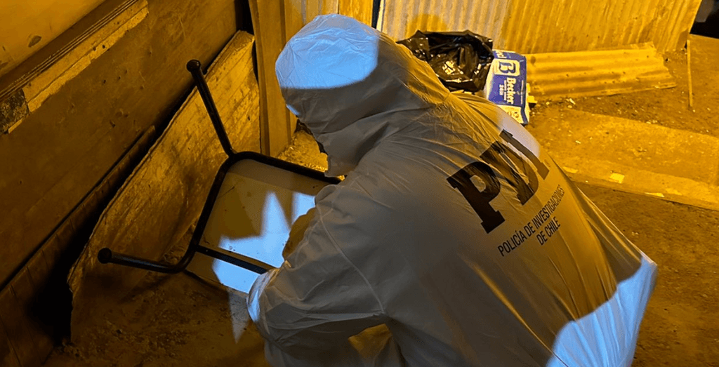 imagen_2024-06-17_172938059 imagen_2024-06-17_172938059