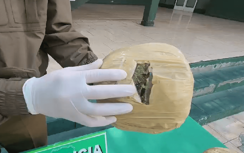 imagen_2023-09-25_183446153 imagen_2023-09-25_183446153