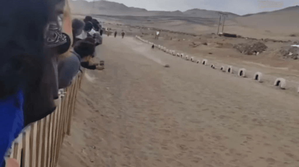 imagen_2025-05-20_111949887 imagen_2025-05-20_111949887