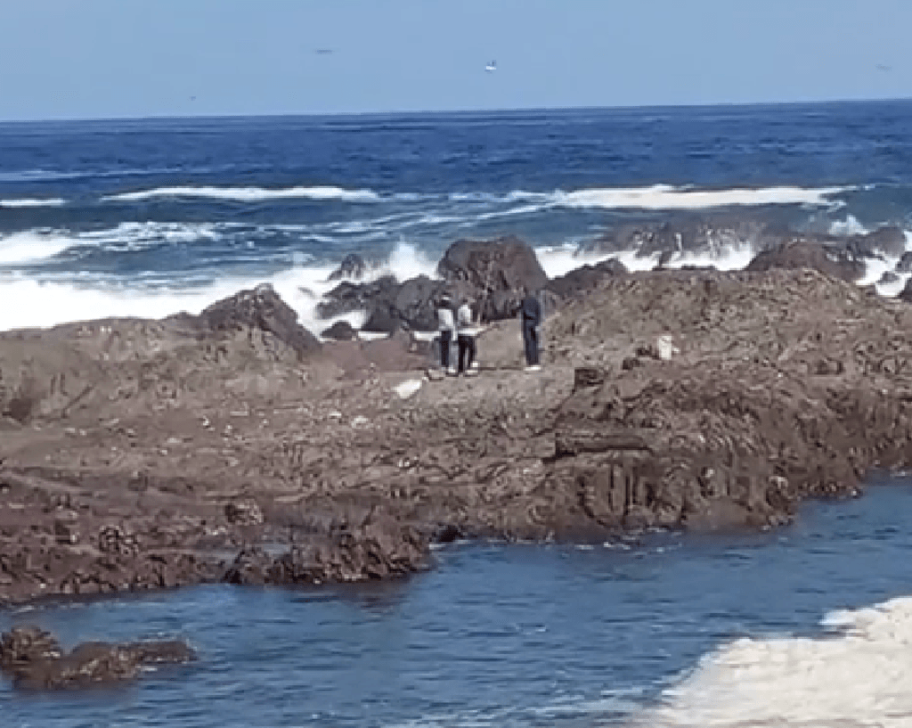 pescando humedal pescando humedal