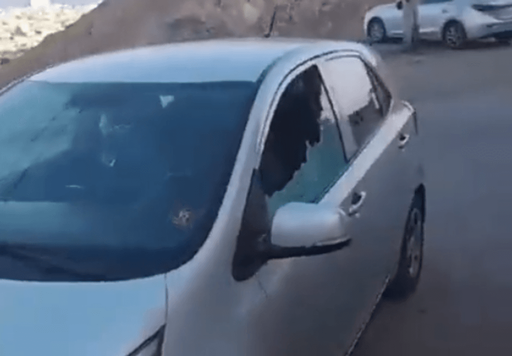 imagen_2023-08-28_101351858 imagen_2023-08-28_101351858