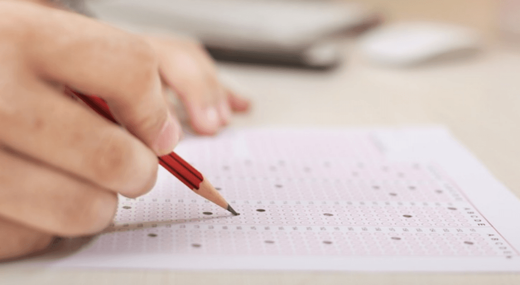 prueba paes prueba paes