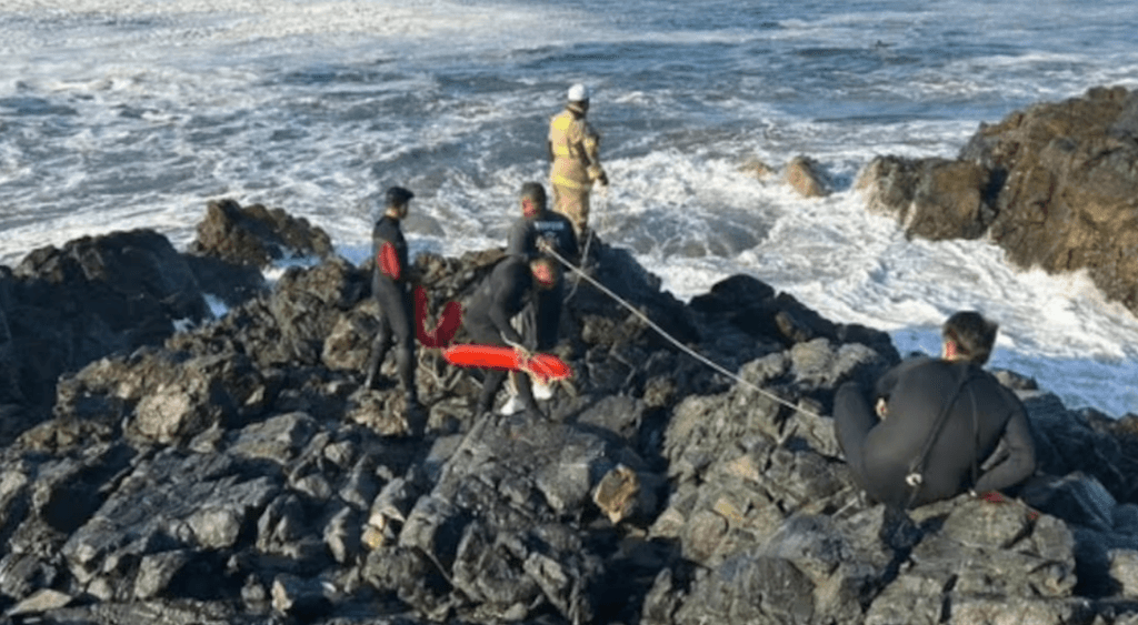 imagen_2025-01-06_090011710 imagen_2025-01-06_090011710