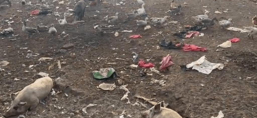 imagen_2024-07-15_090913072 imagen_2024-07-15_090913072