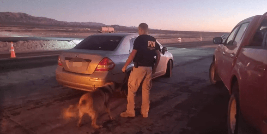 imagen_2024-06-17_104940440 imagen_2024-06-17_104940440