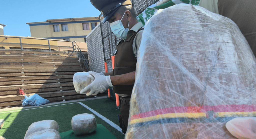 imagen_2024-11-12_110633649 imagen_2024-11-12_110633649