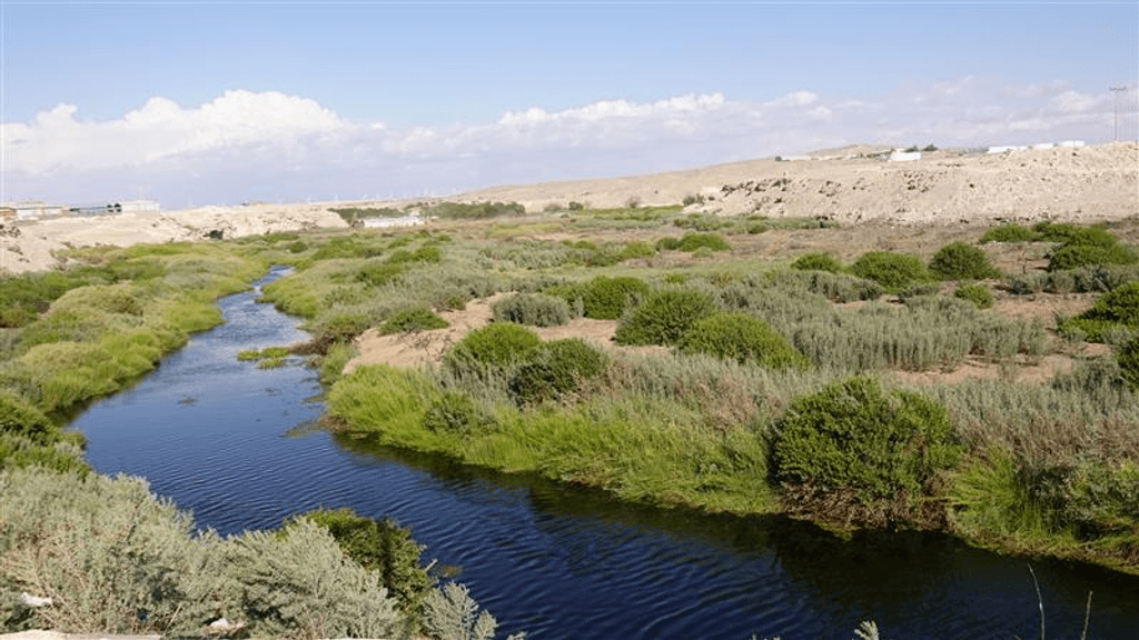 humedal rio loa humedal rio loa