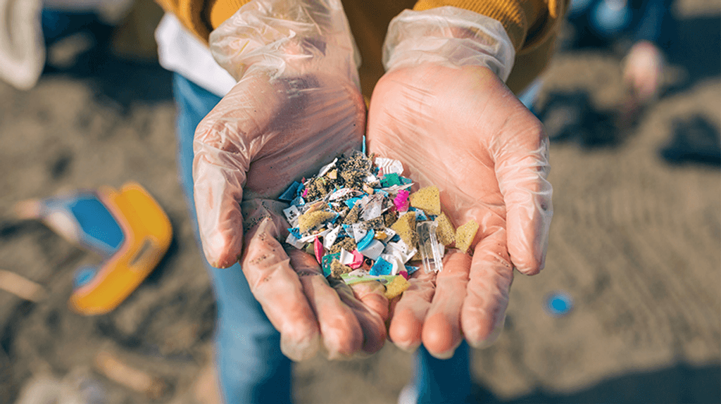 microplasticos microplasticos