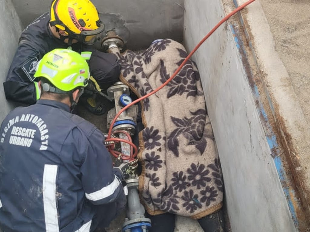 Imagen de WhatsApp 2023-10-04 a las 11 Imagen de WhatsApp 2023-10-04 a las 11