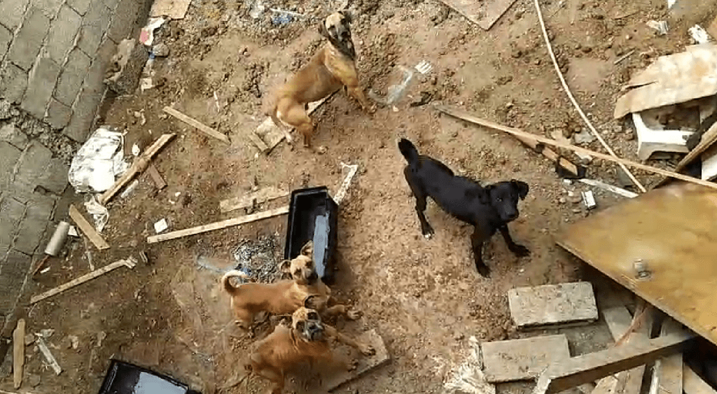 imagen_2024-03-08_091906475 imagen_2024-03-08_091906475