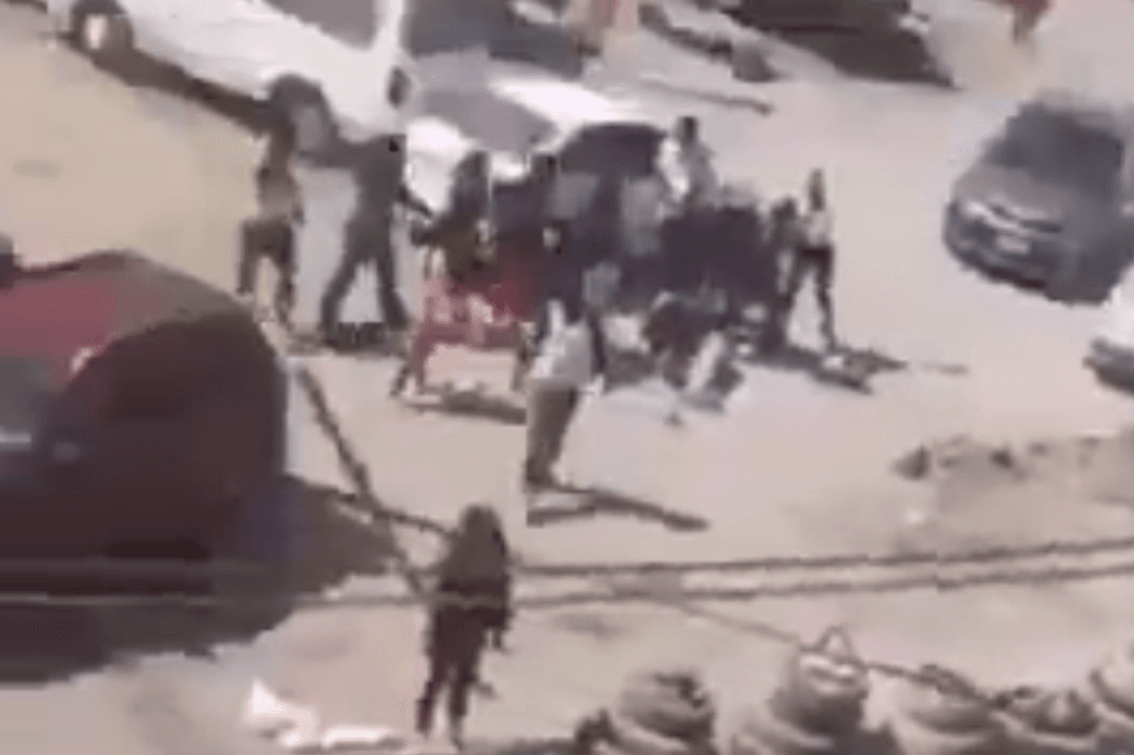 imagen_2024-12-09_093940993 imagen_2024-12-09_093940993