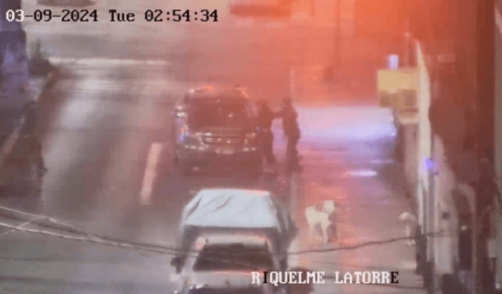 Robo en mejillones Robo en mejillones