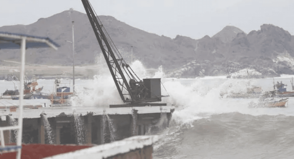 imagen_2024-12-30_091020558 imagen_2024-12-30_091020558