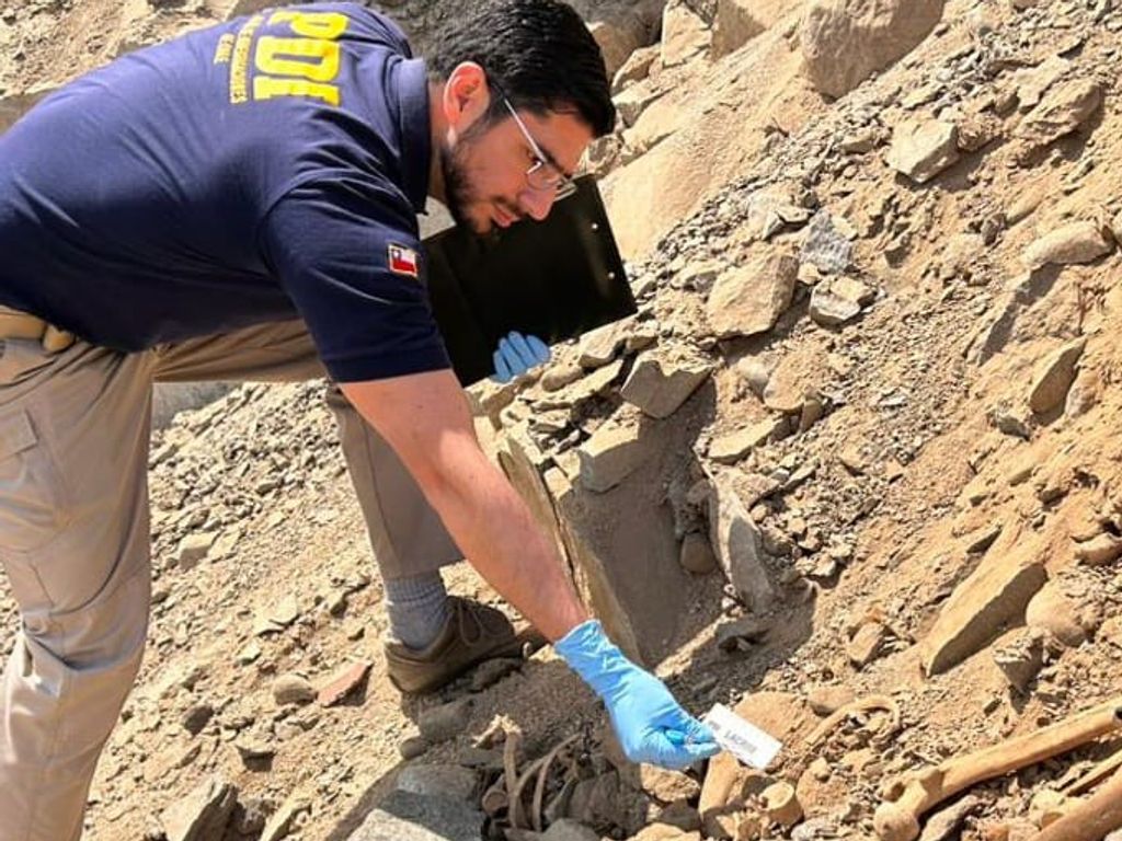 osamentas pdi osamentas pdi