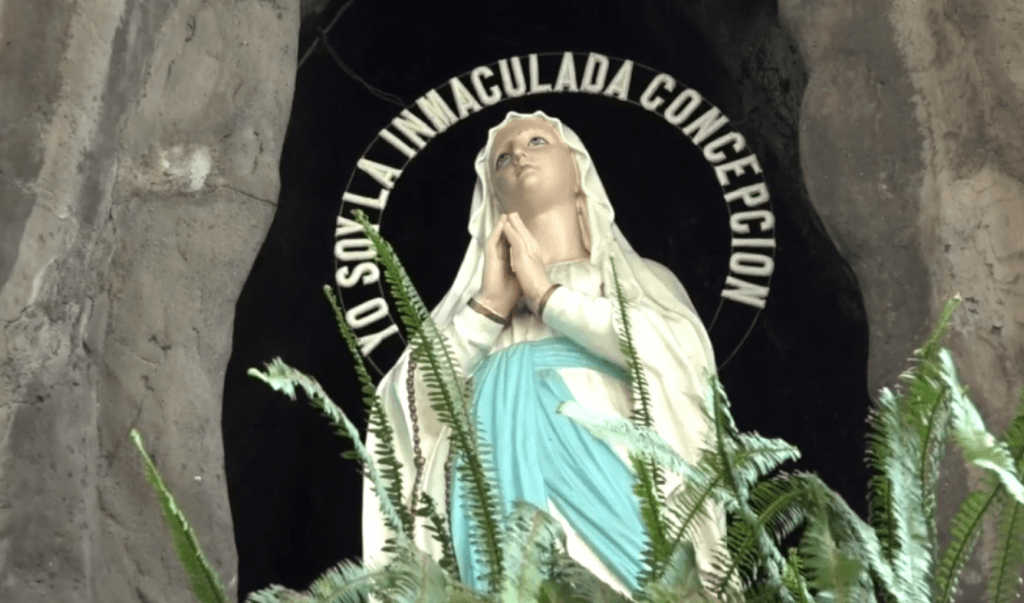 imagen_2024-02-09_110828576 imagen_2024-02-09_110828576